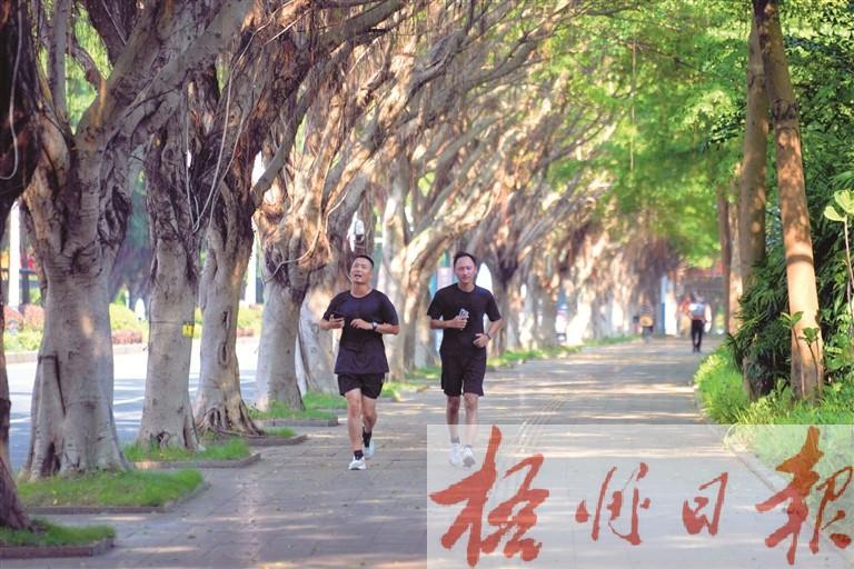 tenan, 乐享健康生, entit