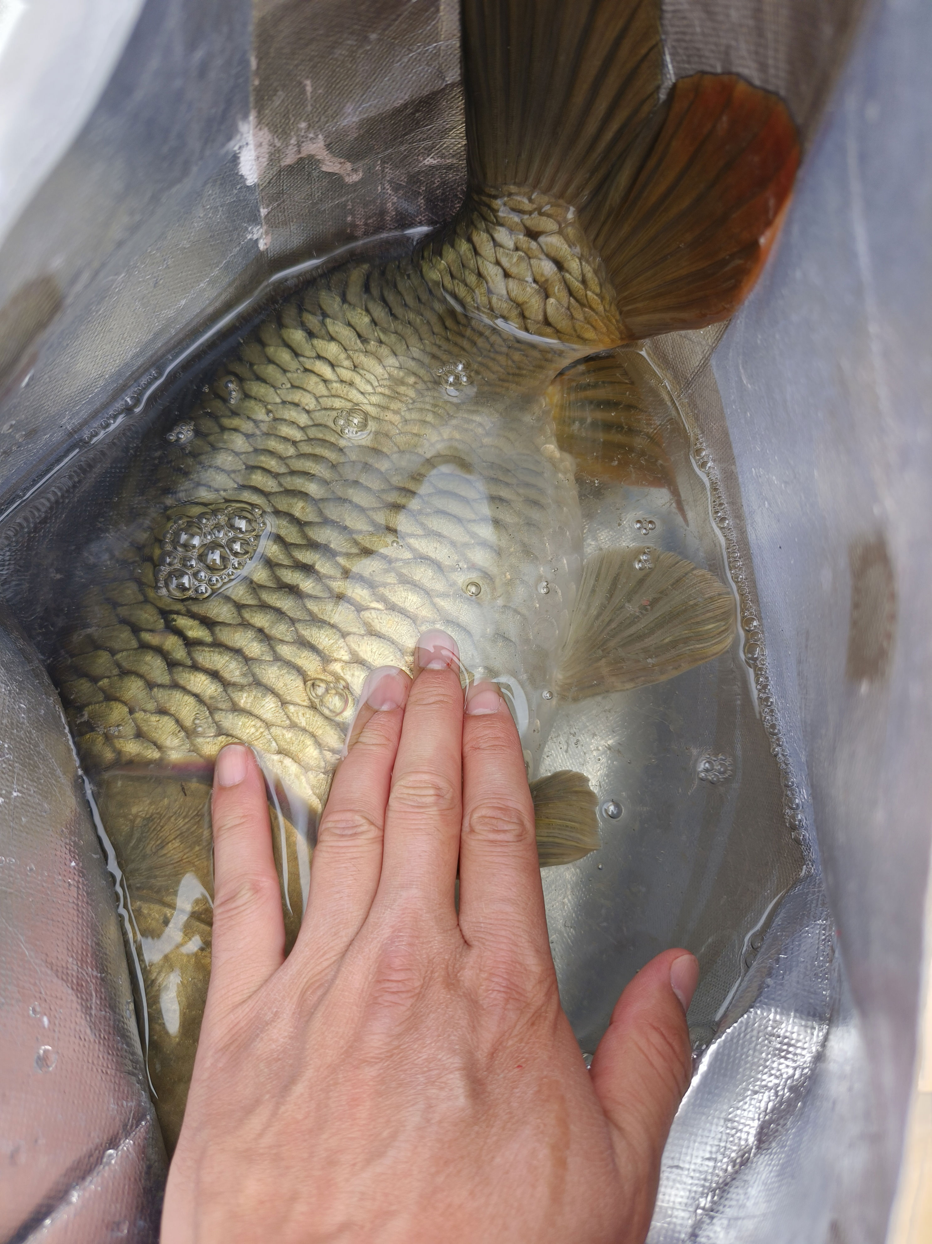 是针对这样, 没有什么障, 钓友你用对